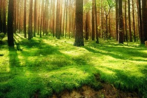 世界篮球青训标准化课表：每日训练安排与目标，篮球训练课程表