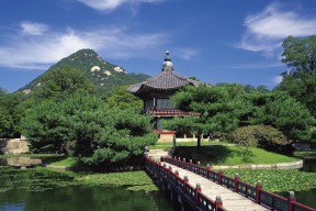 世界马拉松赛事志愿者健康证领取与核验通告，马拉松健康证明多少钱