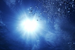 世界羽毛球公开赛冠军巡回访谈：幕后训练揭秘，世界羽毛球巡回赛总决赛冠军