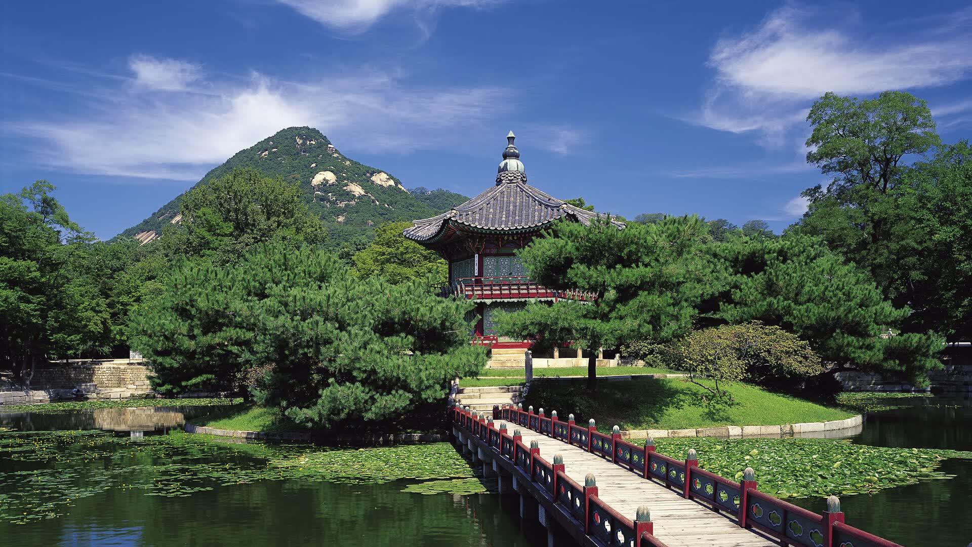世界游泳接力技术统计平台数据质量审计结果，游泳接力比赛破纪录
